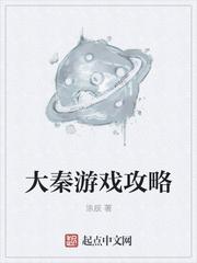 大秦是什么游戏