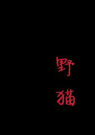 野猫和平精英